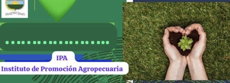 IPA SALUDABLE Cover Image